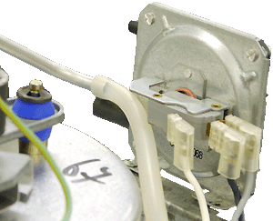 BX SOLO 2 aps tube dc.gif